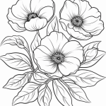 Three large poppy flowers coloring page