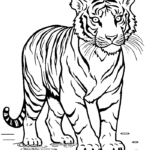 Adult tiger standing in water coloring page