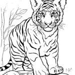 Realistic tiger cub walking coloring page