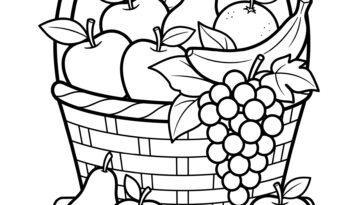 Easy coloring page of a woven basket full of fruit, apples, pears, grapes, a banana and an orange, with bold lines and large spaces